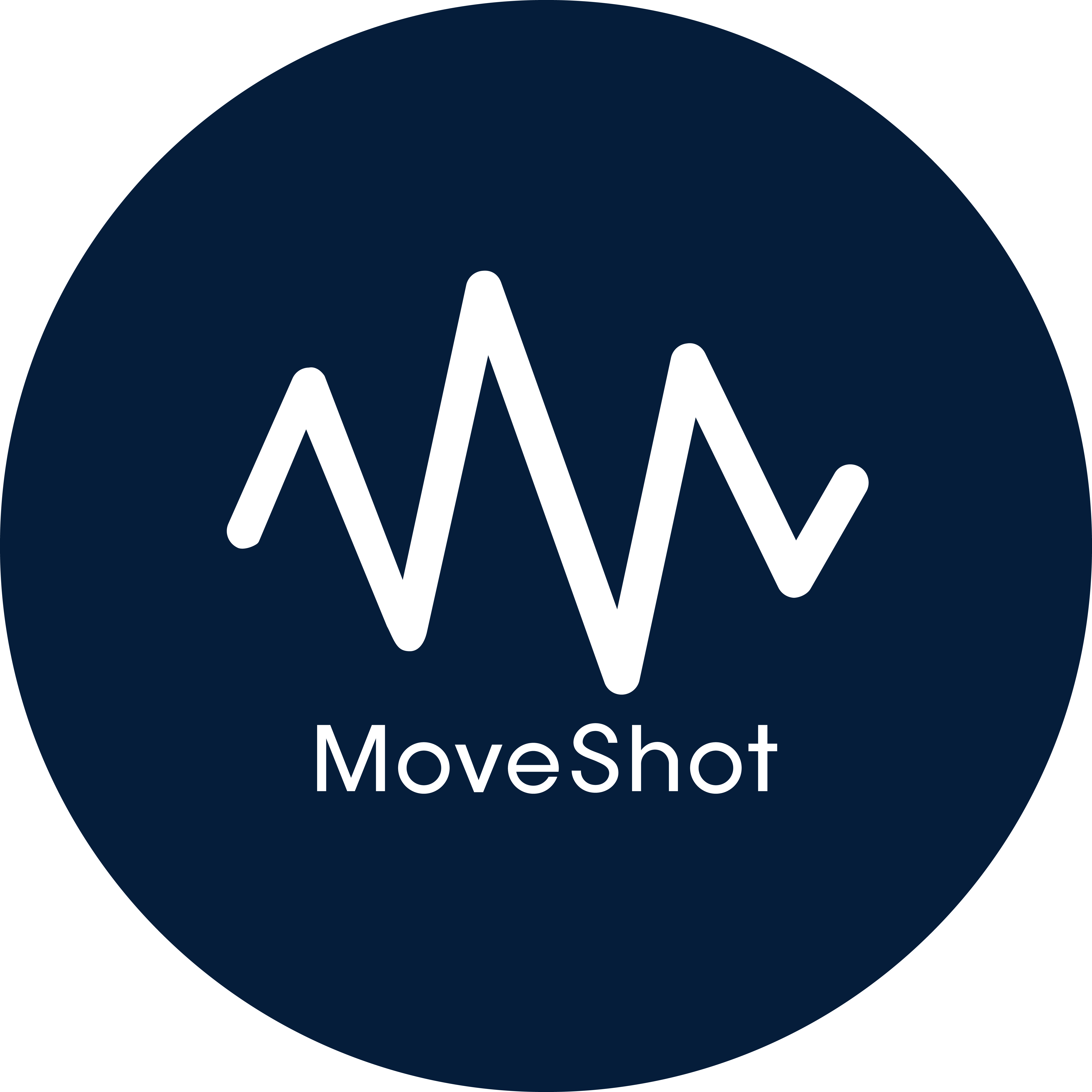 MoveShot